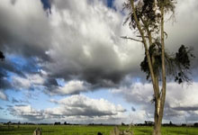 探寻高圆圆的神秘面相在天涯论坛的热议