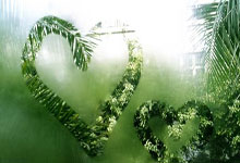 探索“脱发天涯论坛”，一个温暖的脱发交流天地！