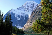 天涯社区情感天地：当小三们指点江山