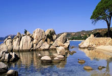 探寻高圆圆的神秘面相在天涯论坛的热议